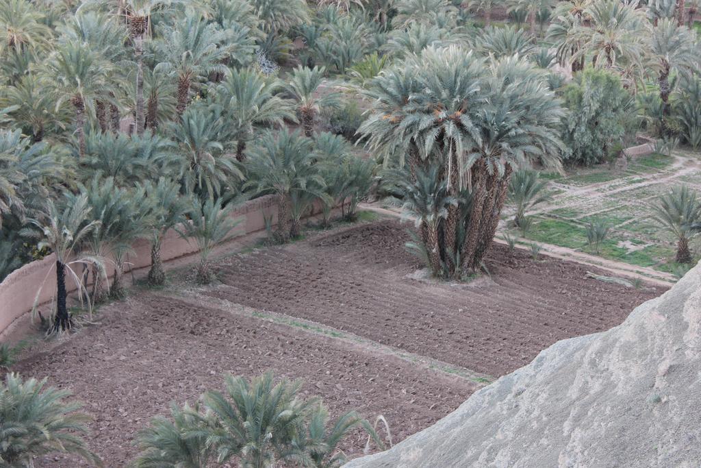 Bed and Breakfast Kasbah Itrane Tamnougalt Екстер'єр фото