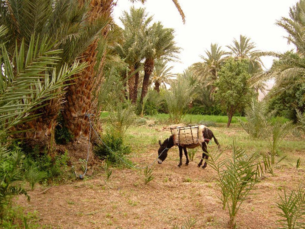 Bed and Breakfast Kasbah Itrane Tamnougalt Екстер'єр фото